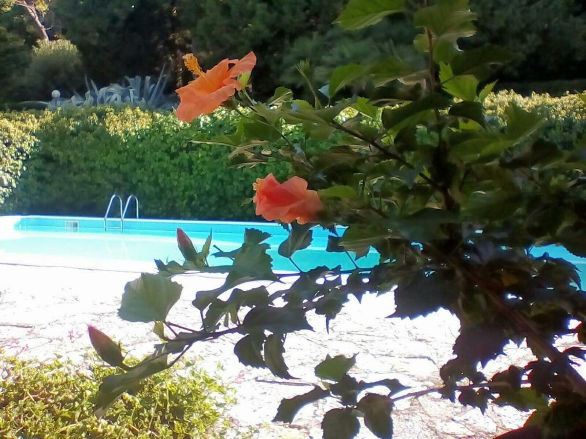 Villa Dall Acqua Pesaro Exterior photo